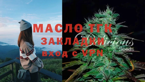 таблы Бородино